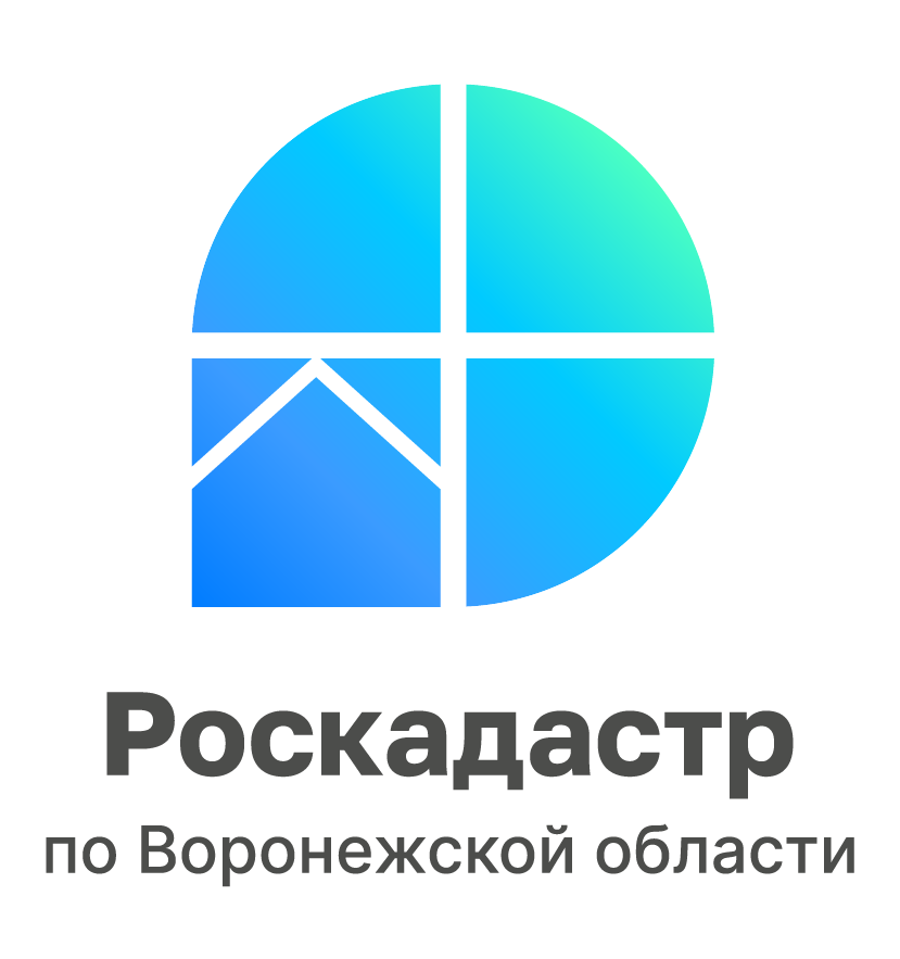 Воронежский Роскадастр подвел итоги 2024 года.