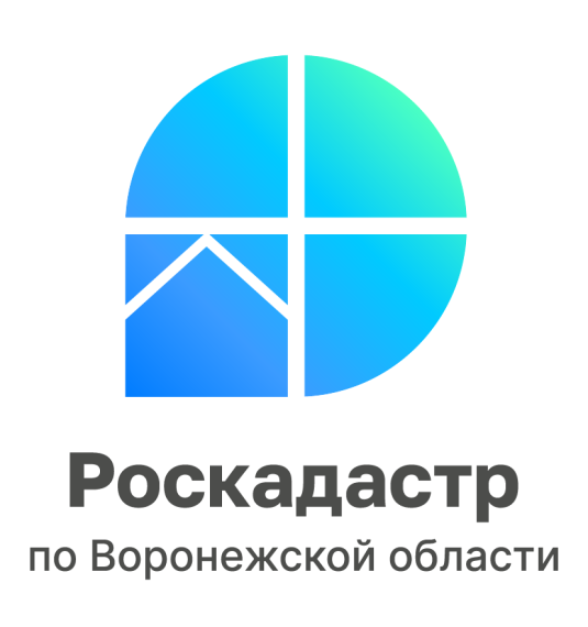 Воронежцы узнают, как получить копию документов из архива. Воронежцы узнают, как получить копию документов из архива.